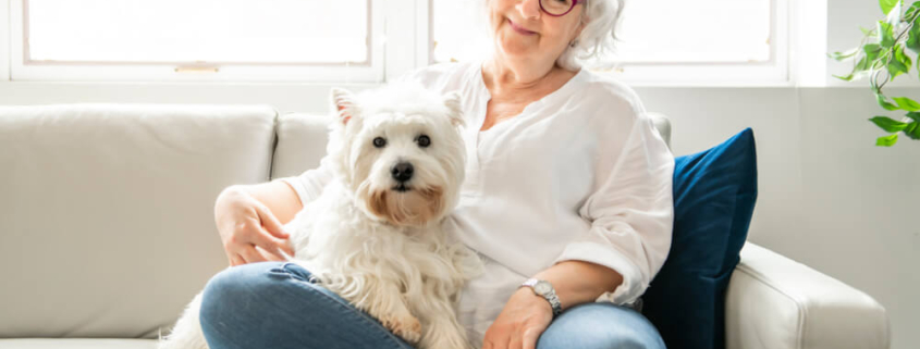 Estate Planning for Pet Owners in Maryland